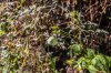 8/IMG_0392 site.jpg